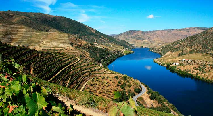 Cruzeiros Douro com Saída da Régua