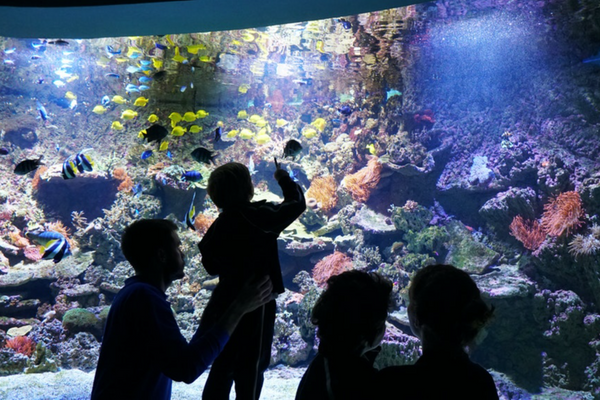 Acuario de Sevilla