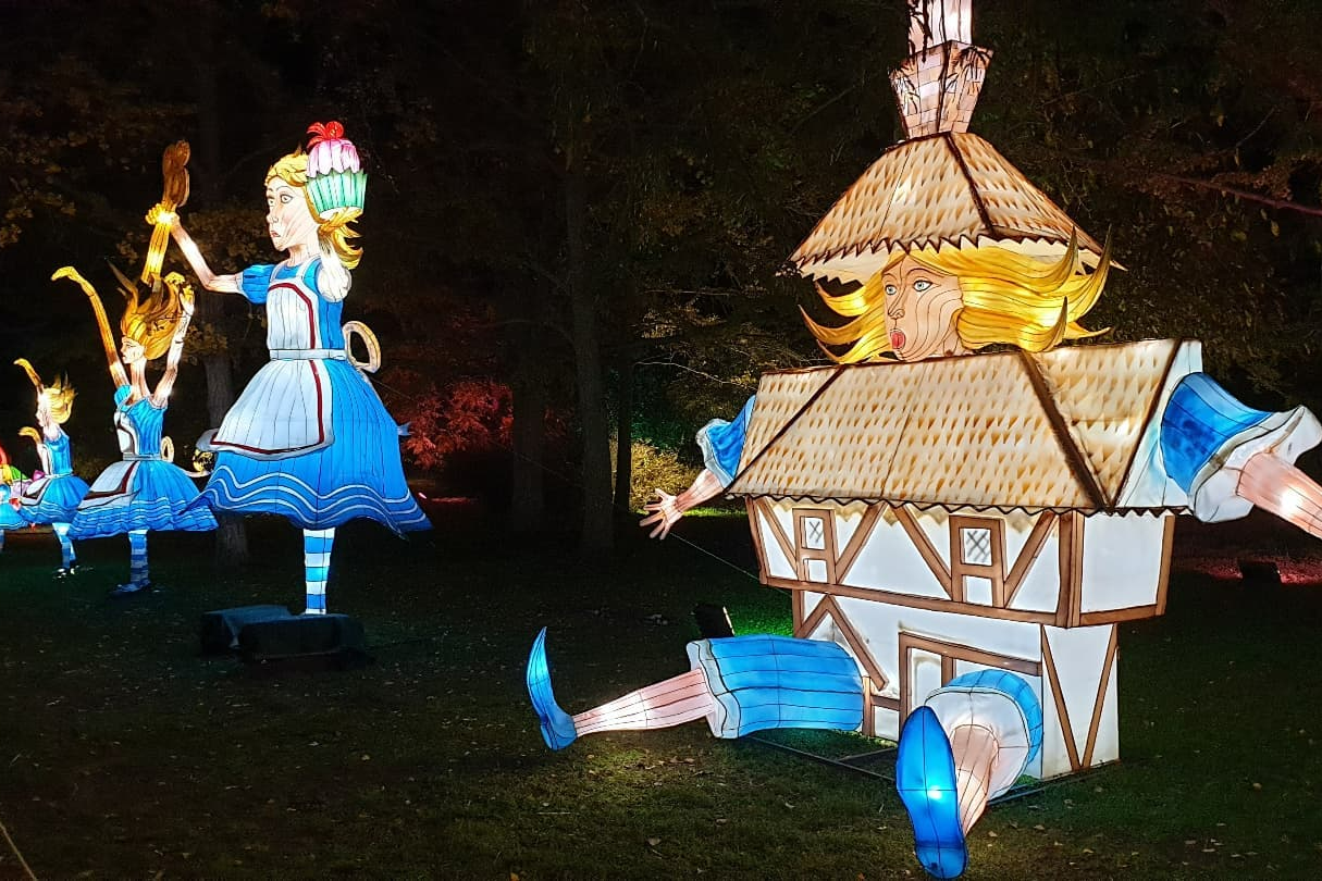 Alice in Magical Garden-2