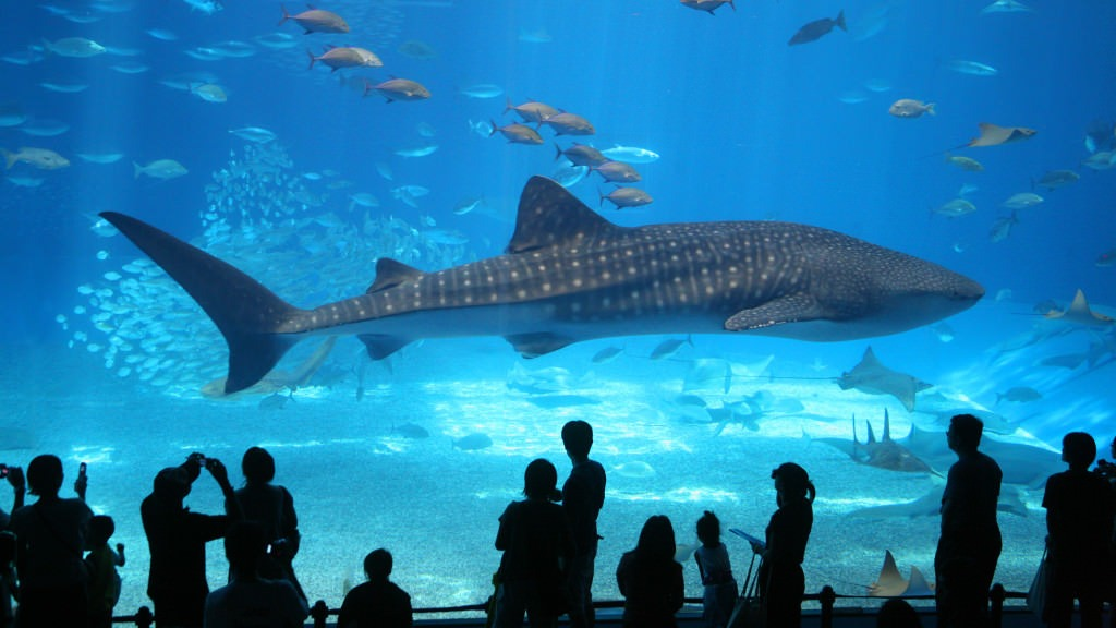 Aquarium de Paris-2