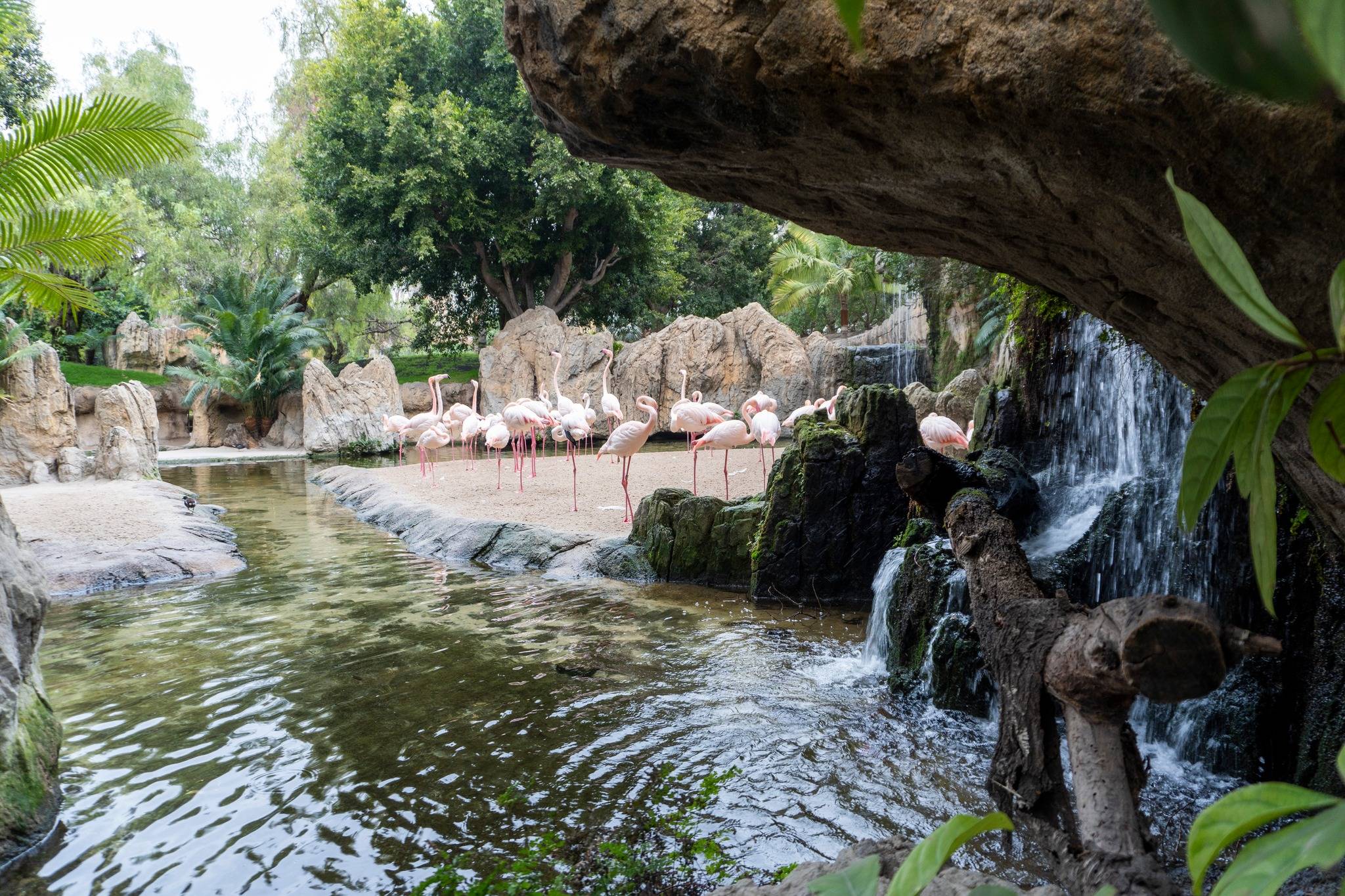 Bioparc Valencia-22