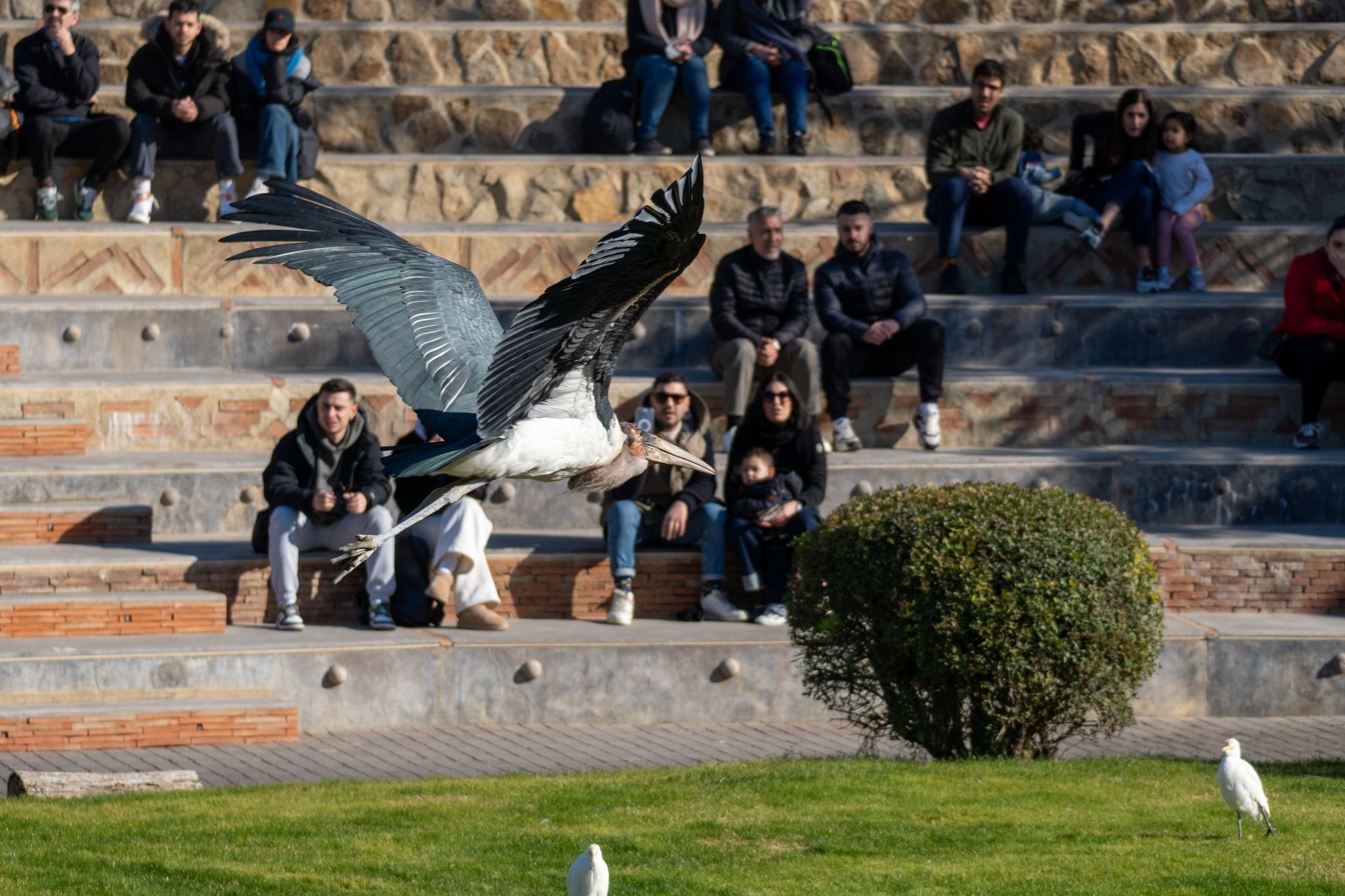 Bioparc Valencia-9