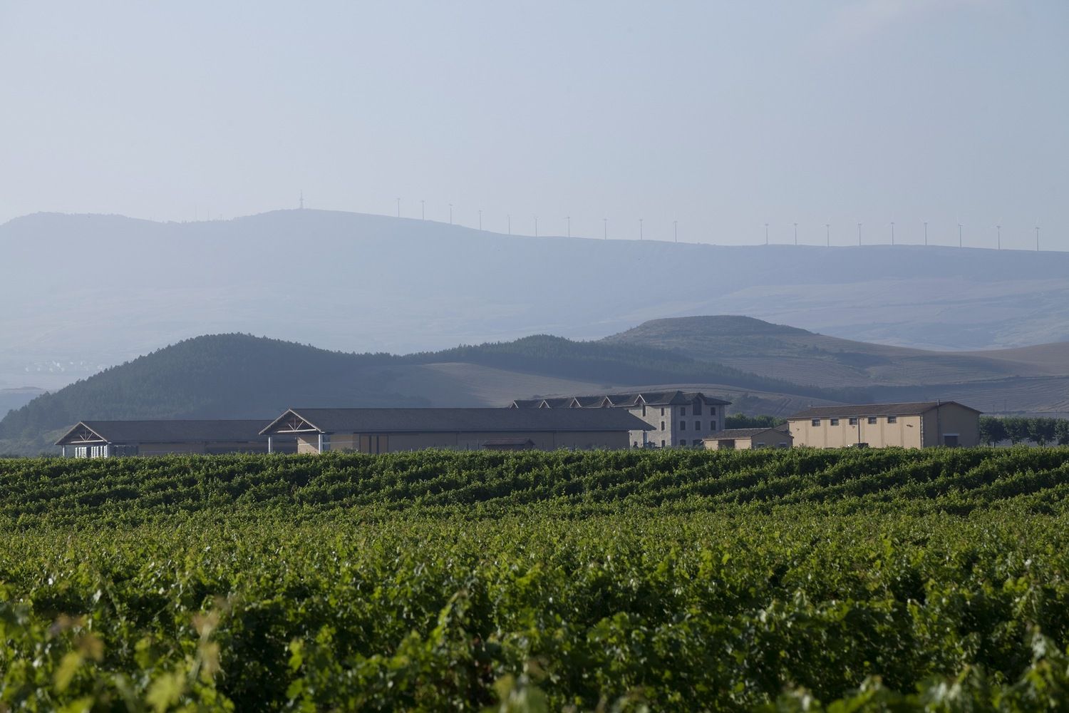 Bodega Otazu-11