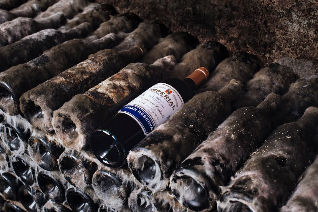 Bodegas CVNE - La Rioja-7