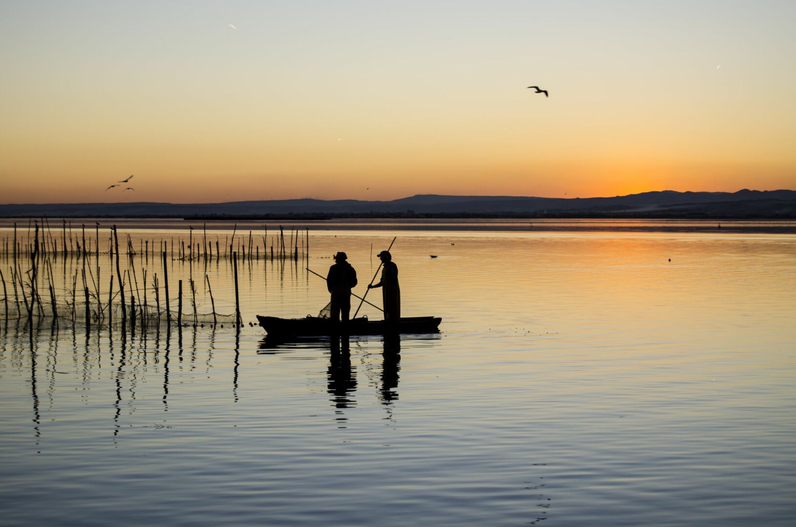 Paseo en barca por la Albufera