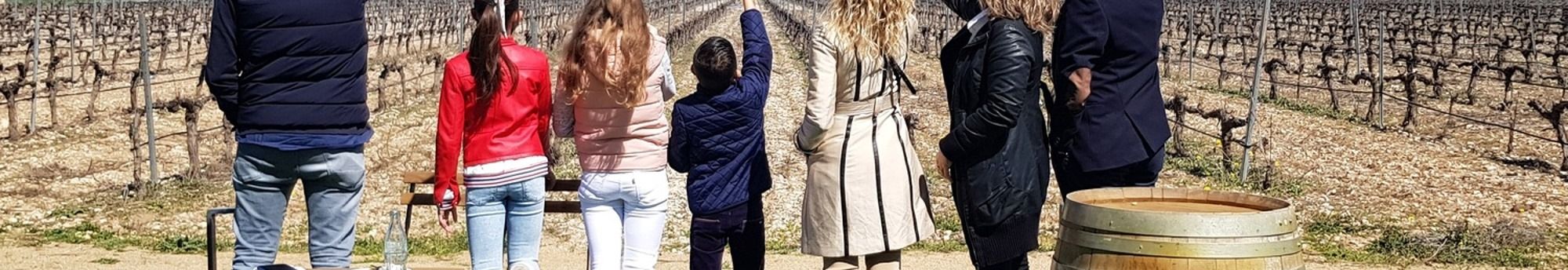 Entradas a Concejo Bodegas