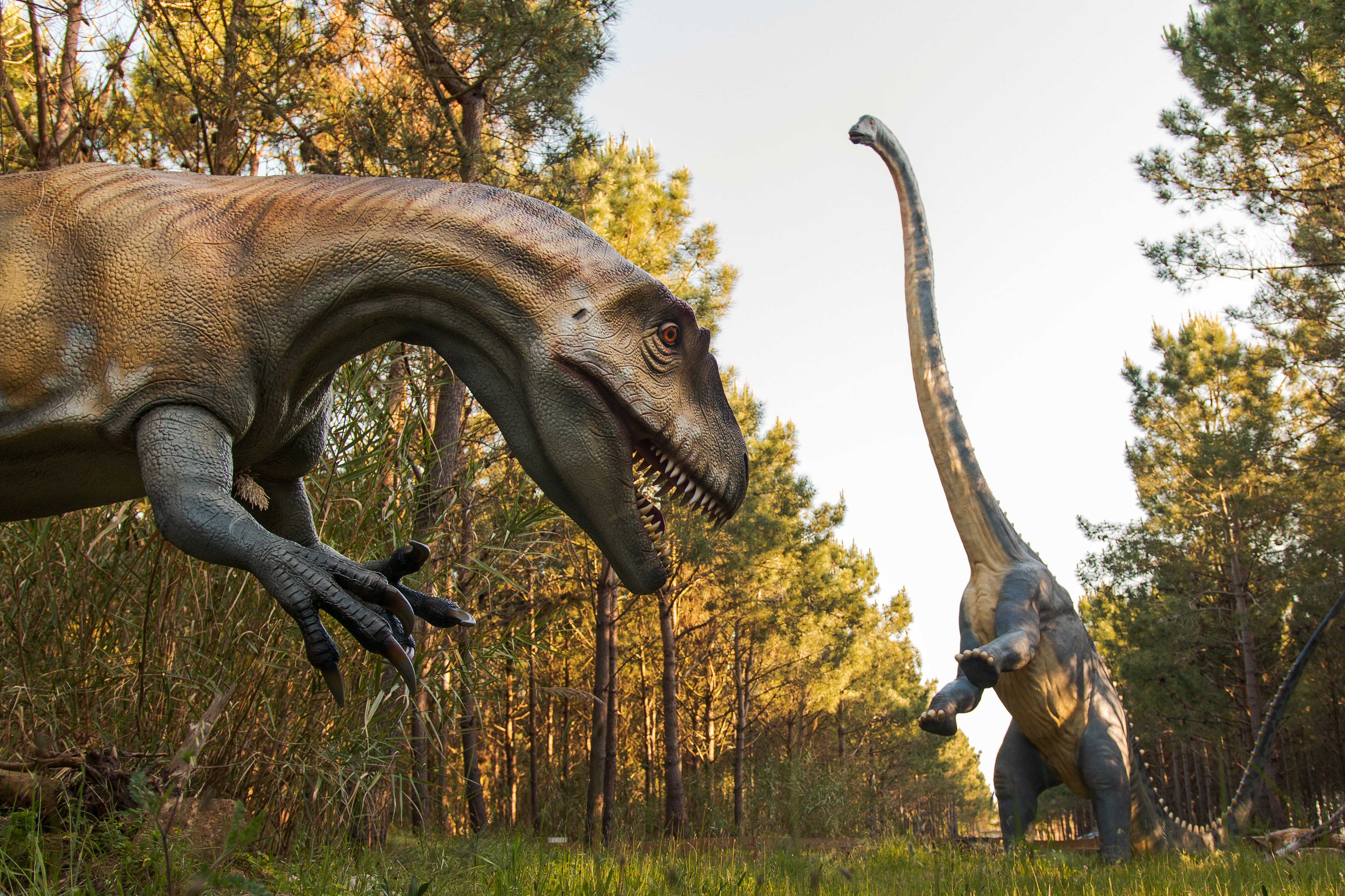 Dino Parque Lourinhã-1