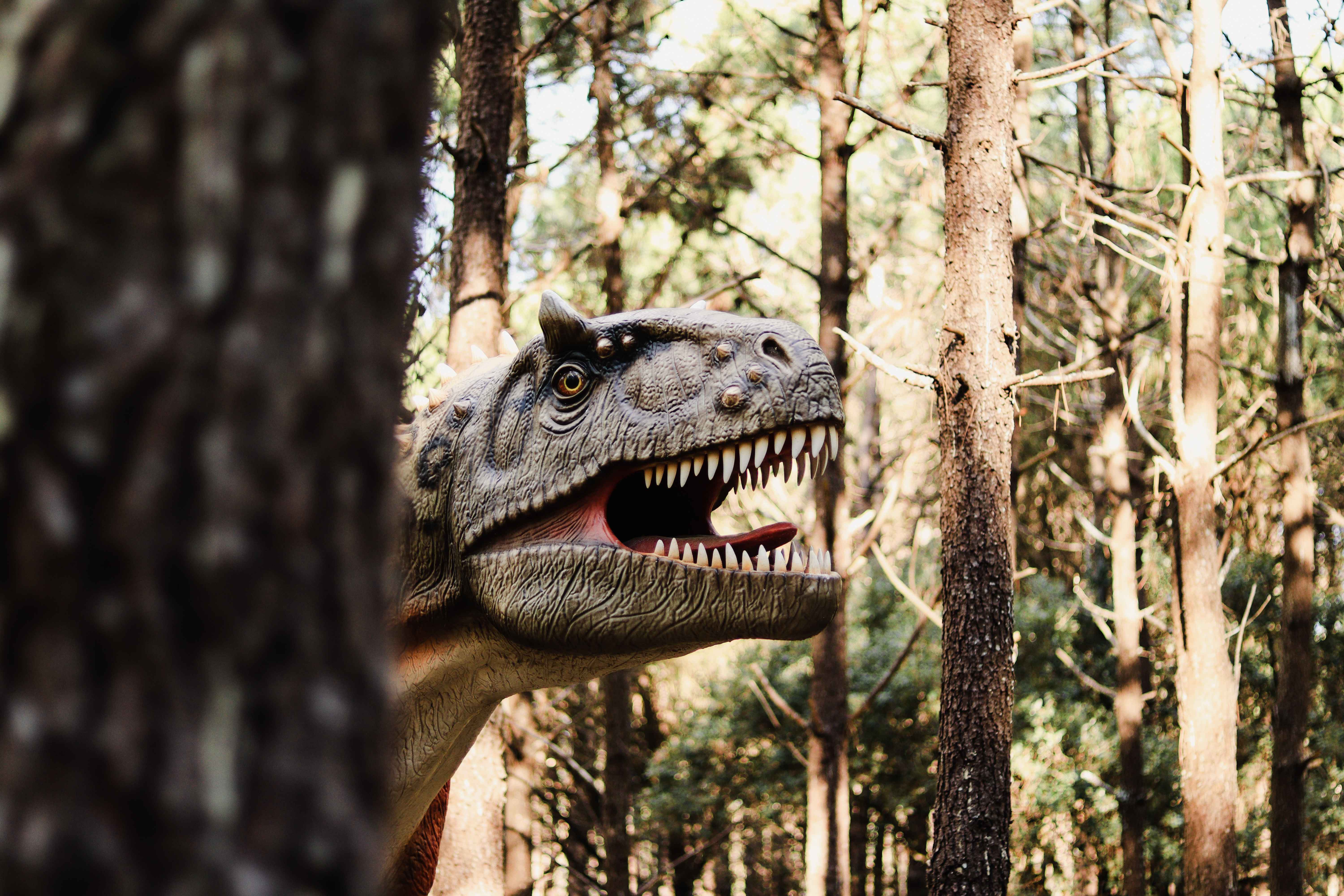 Dino Parque Lourinhã-5