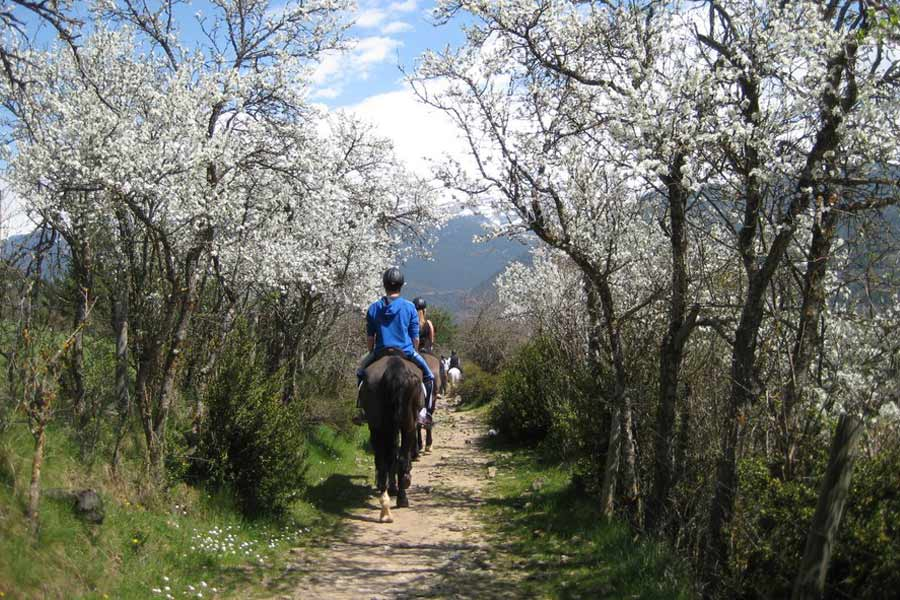 Hípica en Jaca-2