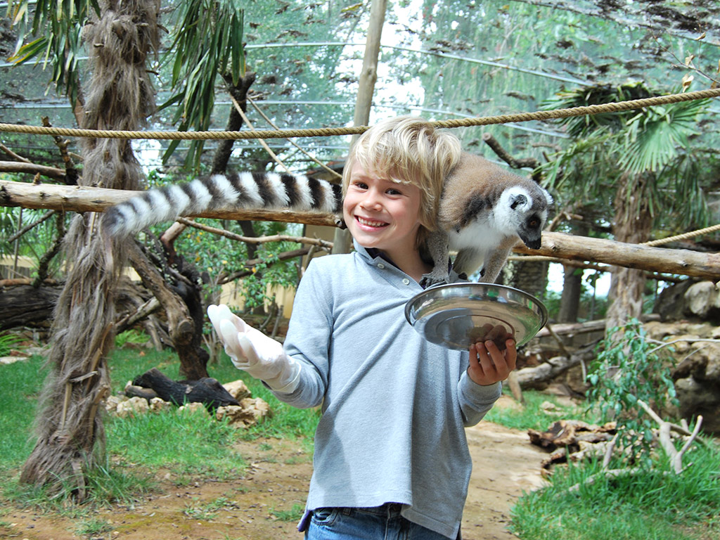 Krazy World - Portugal