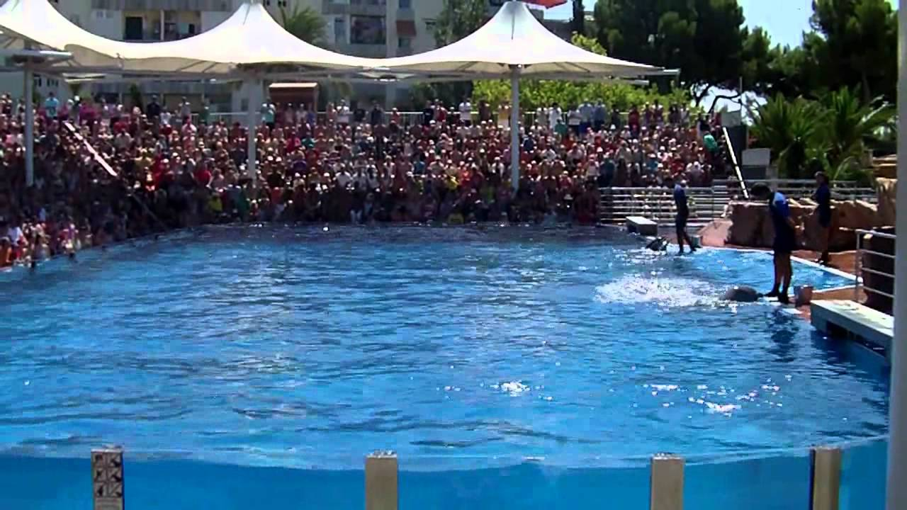 Marineland Mallorca-4