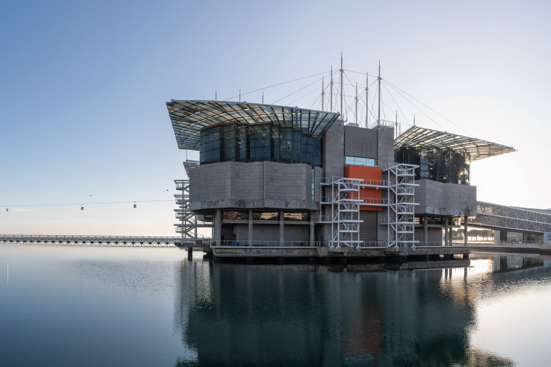 Oceanario de Lisboa-10