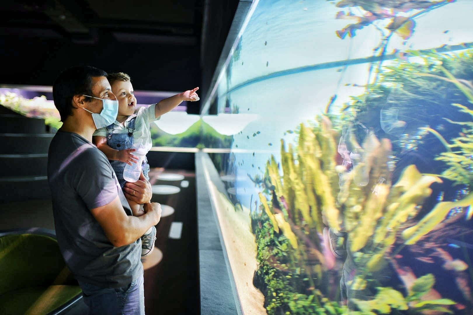 Oceanário de Lisboa-8