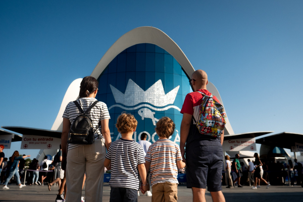 Oceanogràfic en Valencia