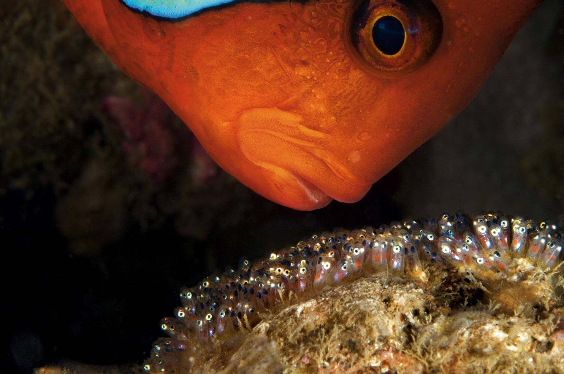 Palma Aquarium Mallorca-3