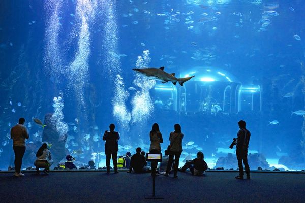 Poema del Mar Gran Canaria