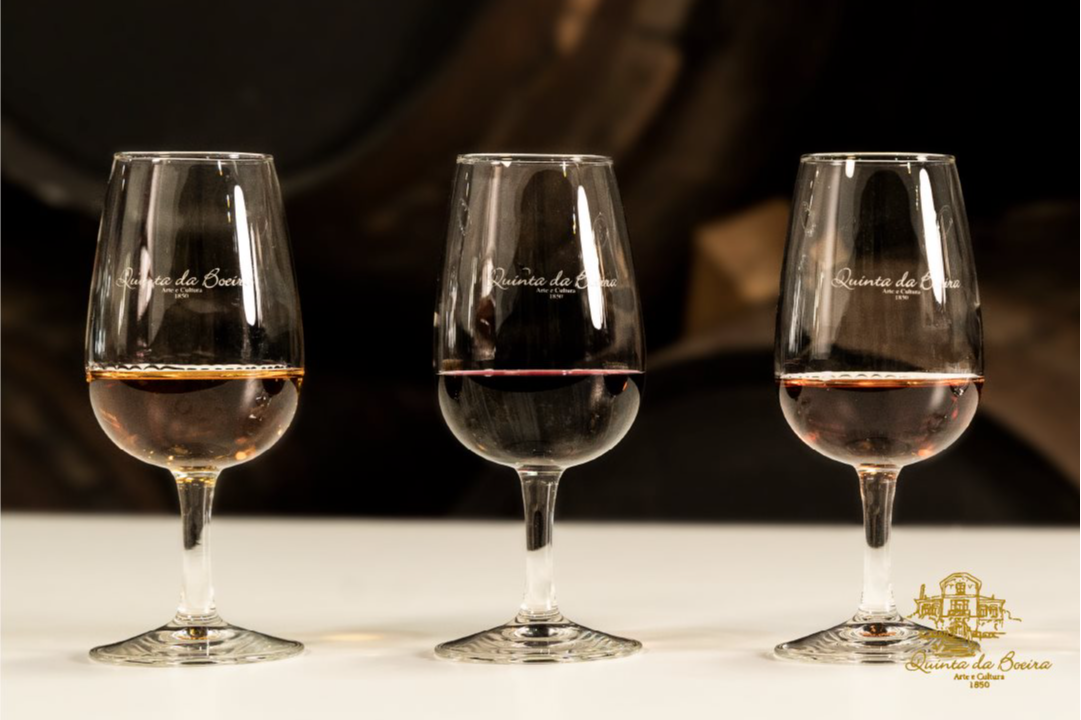 Visita y Cata de Vinos - Quinta da Boeira-7