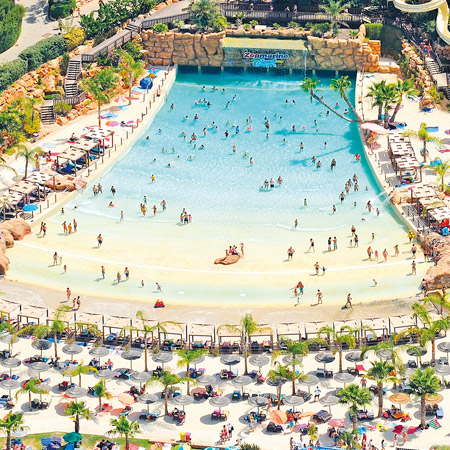 Zoomarine Dolphin Emotions-4