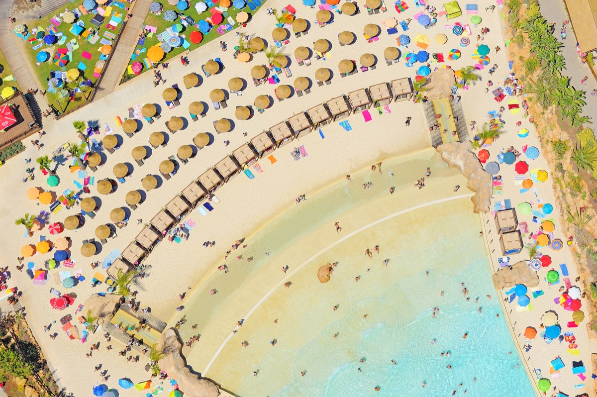 Zoomarine Dolphin Emotions-2